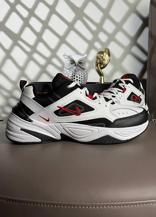 Чоловічі кросівки nike m2k