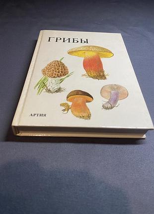 Грибы текст я. клана