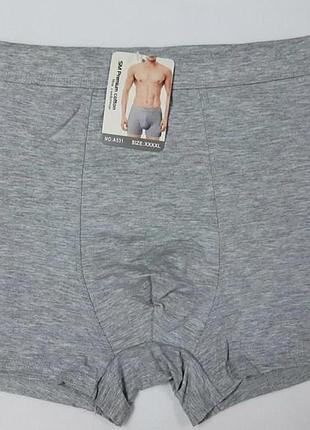 Труси шорти чоловічі sm premium 531a 4xl(р) св.сірий
