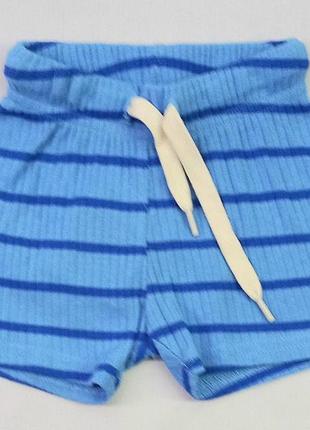 Шорты для мальчика green cotton 153602 56-62см (р) голубой