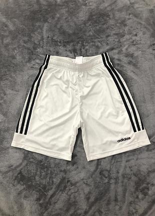Спортивні шорти adidas