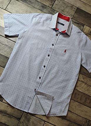 Чоловіча бавовняна теніска polo ralph lauren розмір l
