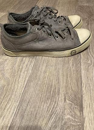 Кеды ugg australia