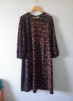 Сукня peacoks
