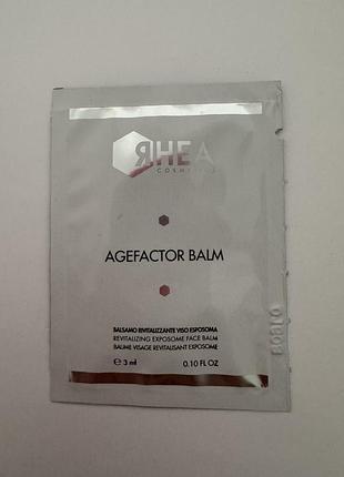 Rhea cosmetics agefactor balm exposome - живильний антивіковий бальзам для обличчя 3ml