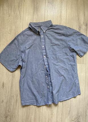 Чоловіча сорочка, бавовна, xl, marks&spencer