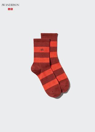 Шкарпетки uniqlo+jw anderson бордові