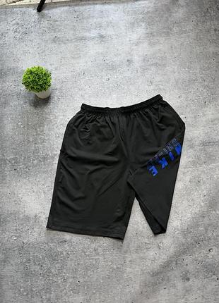 Чоловічі шорти nike dri fit shorts