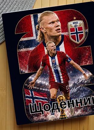 Дневник ерлинг холанн erling haaland (31569)