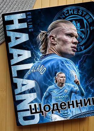 Дневник ерлинг холанн erling haaland (31563)