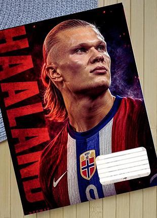 Зошит ерлінг голанн erling haaland 18 аркушів лінія (31603)