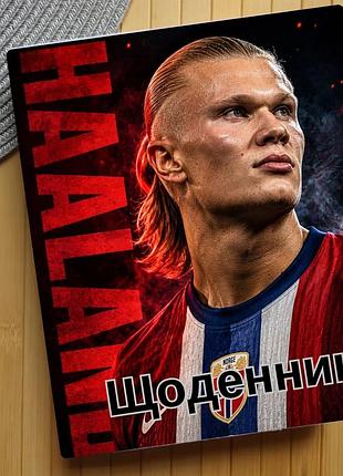 Щоденник ерлінг голанн erling haaland (31562)