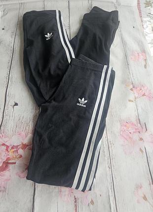 Puma, adidas. лосины на девочку в возрасте 11-12 лет.