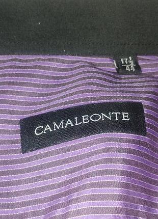Мужская тенниска camaleonte 6