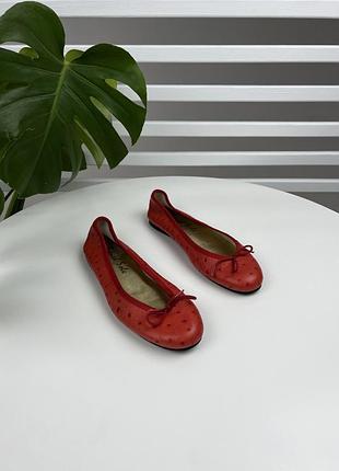 Жіночі шкіряні балетки french sole