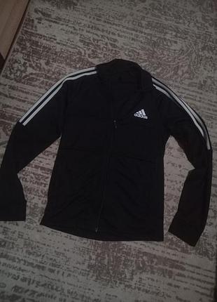 Спортивна кофта adidas
