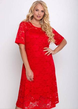 Мереживна сукня  bonmarche