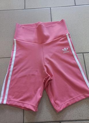 Шорти для спорту еластичні  adidas originals