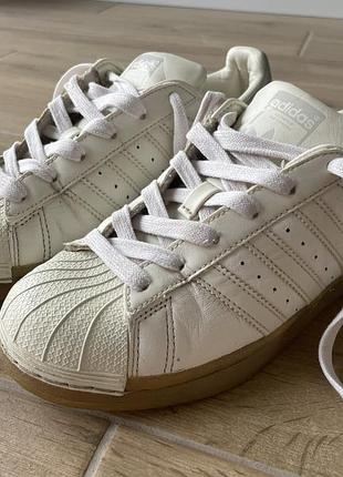 Adidas superstar з наступальної шкірі та поліуретанової підошви. ідеальні на осінь та весну.