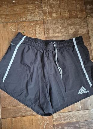 Шорти adidas для бега