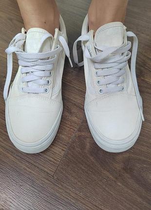 Кеді від vans