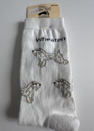 Шкарпетки чоловічі for bare feet usa
