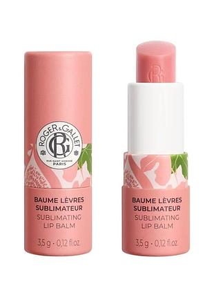 Бальзам для губ квитка инжиру roger & gallet fleur de figuier 3.5 г