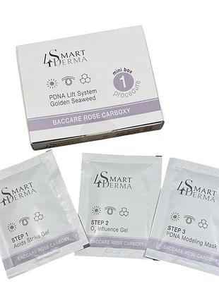 Полінуклеотидна карбокситерапія smart4derma для омолодження та відновлення шкіри baccare rose carboxy 1 процедура
