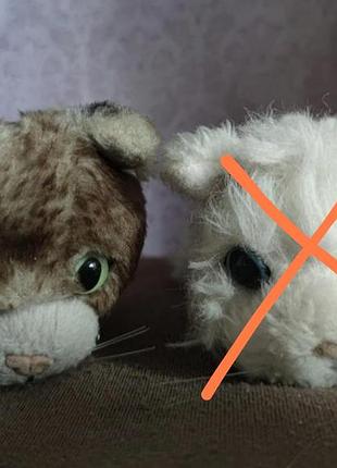 The cat collection, колекціонування