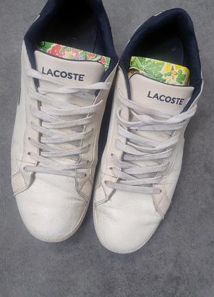 Кеди шкіряні lacoste 2