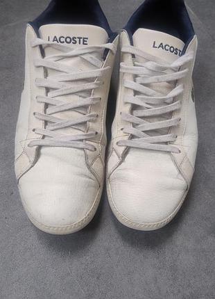 Кеди шкіряні lacoste 6