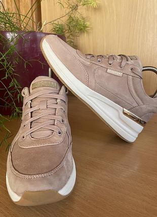 Жіночі кросівки skechers р 37 устілка 24 см.