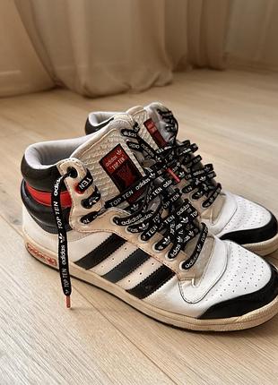 Кросівки adidas top ten