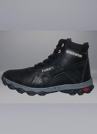 Чоловічі зимові черевики puma 260