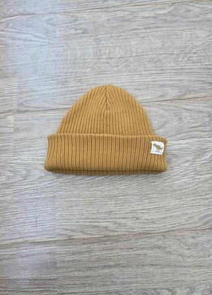 Шапка дитяча хлопчику 3-12 міс zara