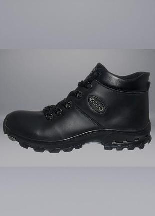Мужские зимние ботинки ecco 226