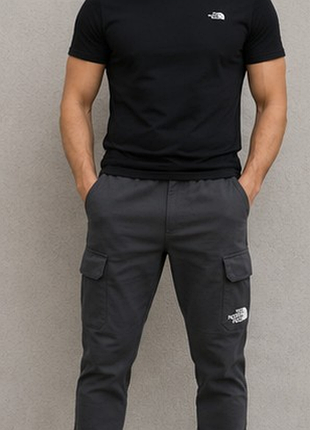 The north face чоловічі штани карго джогери графіт s m