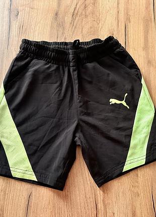 Шорти puma на хлопчика 7-8р
