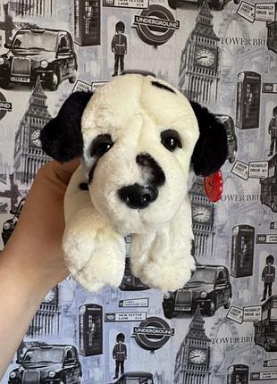 М'яка іграшка — плюшевий далматинець від бренду keel toys з характерним червоним нашийником та фірмовою биркою