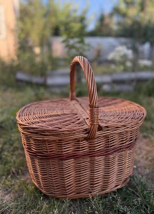 Плетений кошик лоза пікнік, фотосесія, переноска кота