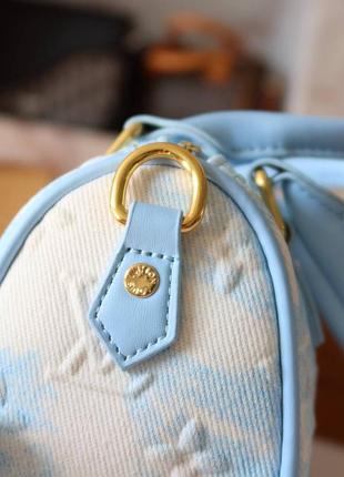 Сумка louis vuitton 6