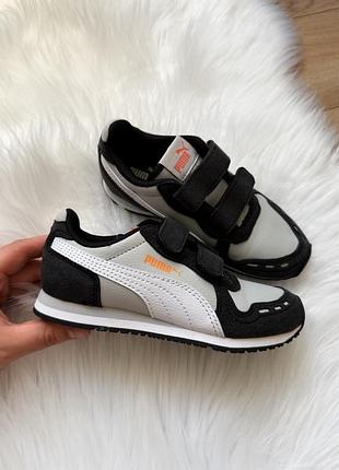 Кросівки puma