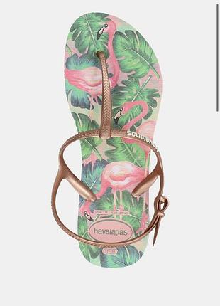 Жіночі сандалі havaianas freedom print