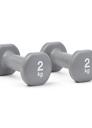 Гантелі reebok dumbbells 2*2 кг (пара) grey