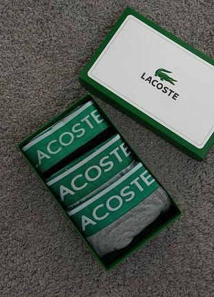 Боксерки lacoste 2
