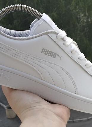 Кросівки кеди базові puma smash v2