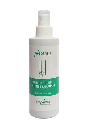 Шампунь проти лупи з антисептичною дією anti-dandruff intense shampoo derma series 200 мл