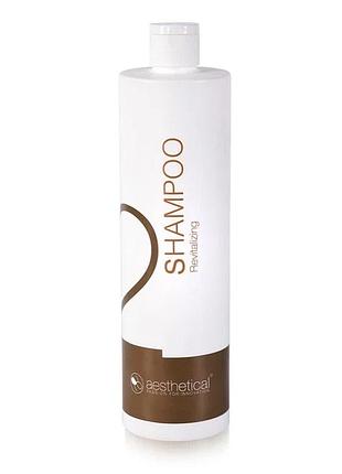 Ревіталізуючий шампунь aescalp revitalizing shampoo aesthetical 500 мл