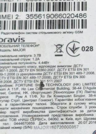 Bravis major 3