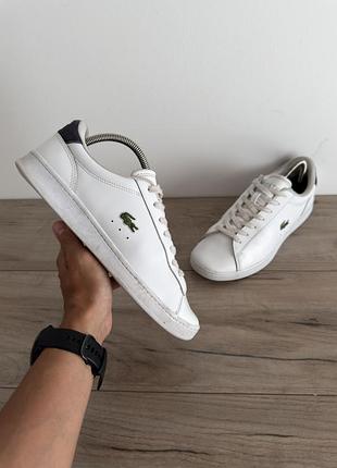 Кросівки кеди шкіряні білі lacoste оригінал